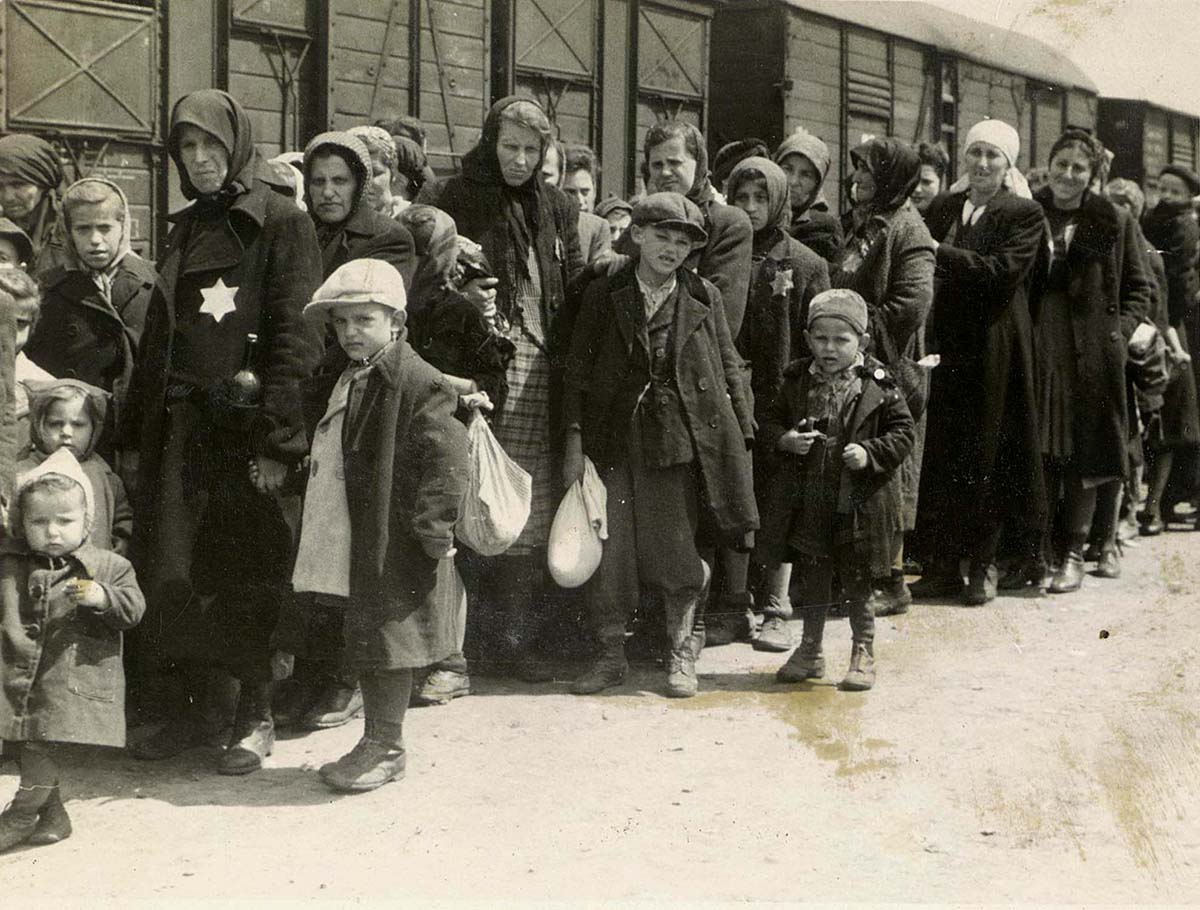 Age and gender distribution of Hungarian Deportees to Auschwitz